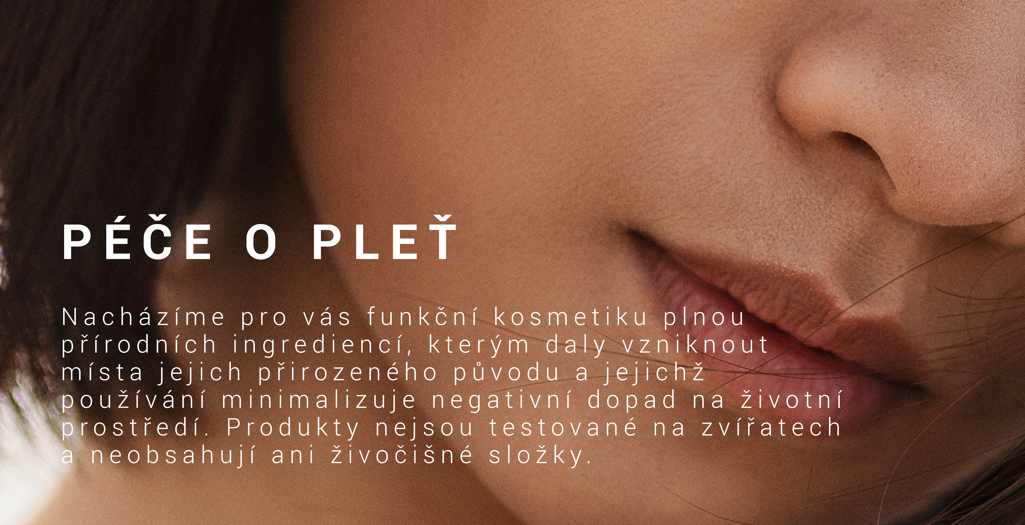 kategorie_pleť1