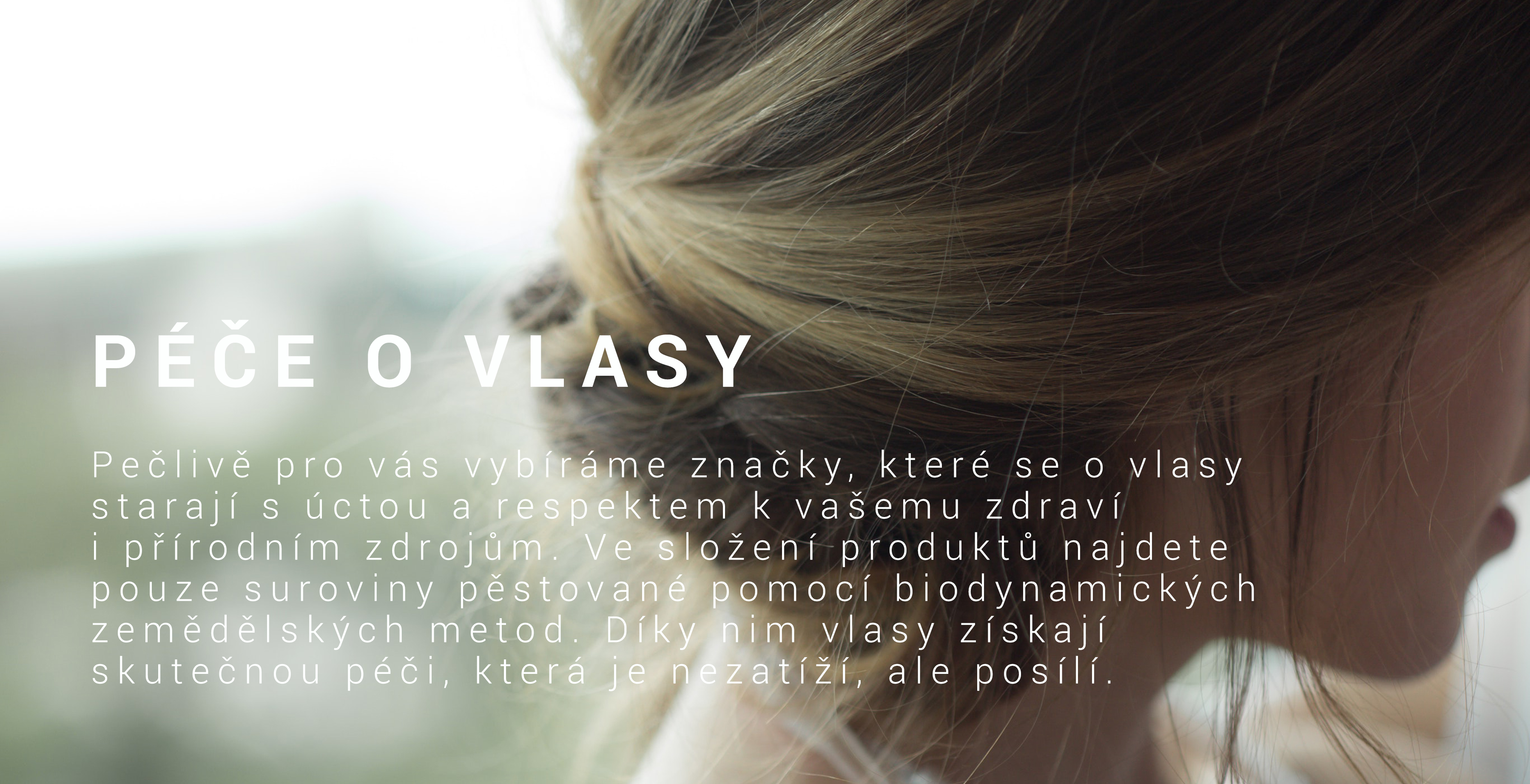 kategorie_vlasy_1